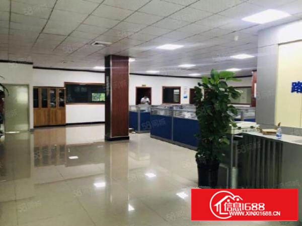 茶山镇原房东带精装修办公室无尘车间标准厂房，可分可整租