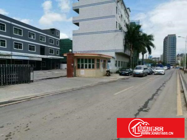 光明绝世靓盘一楼出租