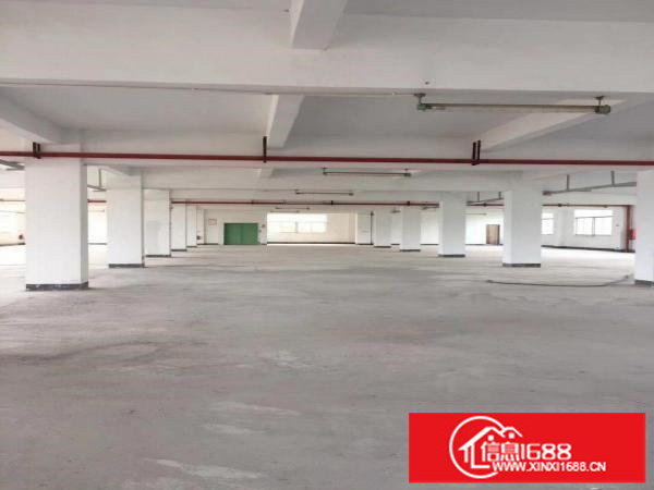(一楼)龙岗同乐1000平方厂房出租！！！可分租