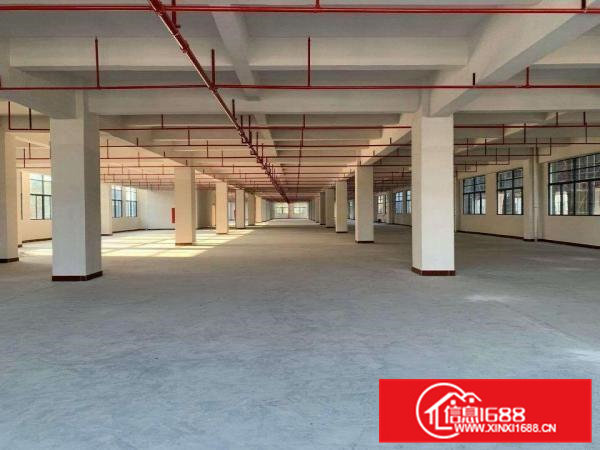 有排放指标，全新厂房，交通便利