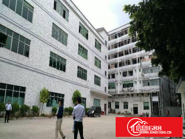 横岗新出村委独院厂房2000到12000平米招租