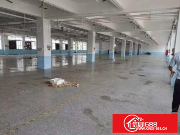 平湖富民工业区原房东1楼1000平方，带装修水电齐全