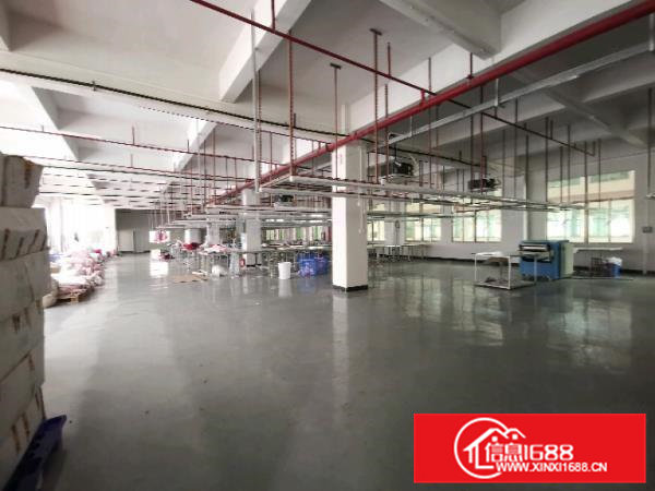 11元厂房出租带现成地坪漆1497平方