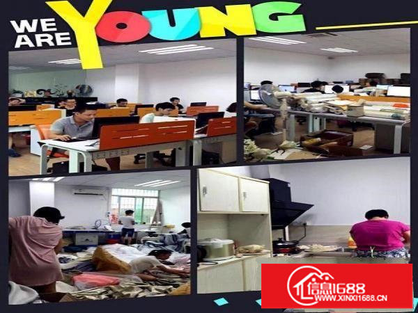 高档装修寻办公室合租电商业为佳