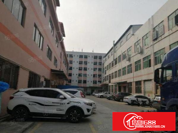 虎门临广深高速大宁新出一楼450平精装厂房层高5.2米