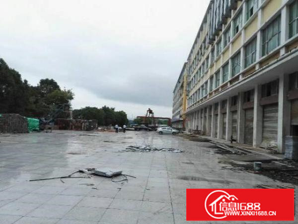 坪地一楼整层1700平层高6米带大空地厂房18元出租