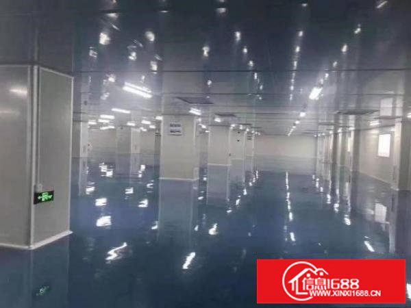 龙岗坪地低碳城旁现成无尘车间适用于生物科技医疗研发等