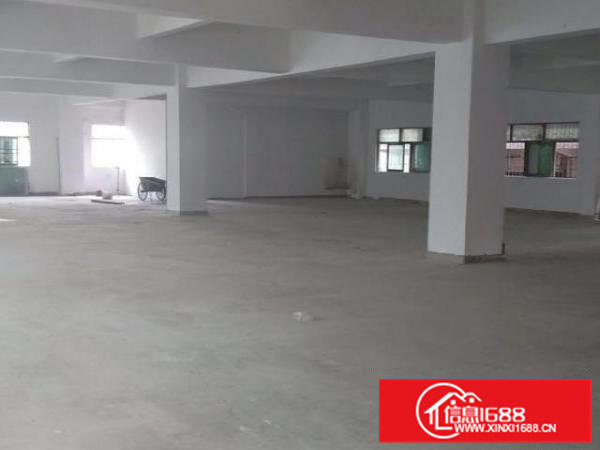 独门独院分租一楼标准厂房600平方，转出