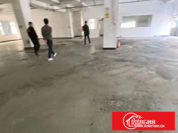 塘厦石马近观澜牛湖标准2楼760平方！灰色地坪漆办公室装修