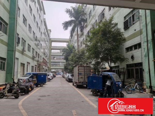 虎门小捷滘工业区标准厂房二楼950平可办环评可分租，交通方便