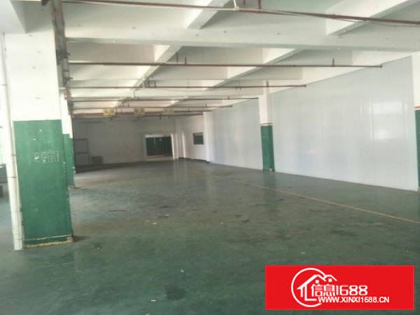 出租！！桥头朗厦带装修一楼厂房1500平