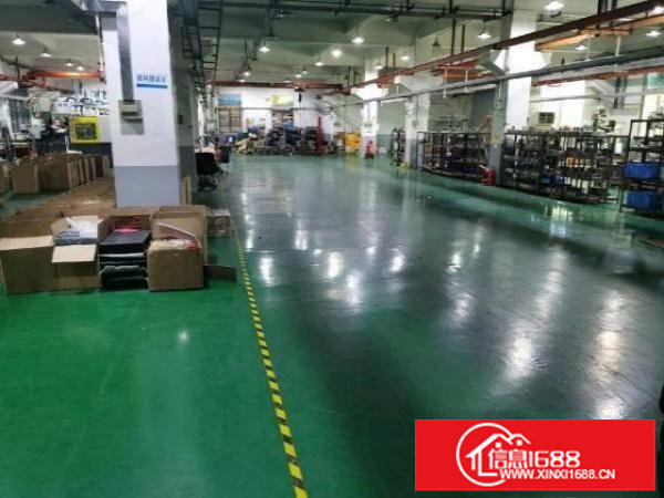 平湖新出带装修厂房2000平，200平起租