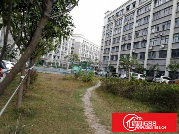 布吉李朗独院红本花园式高新技术园区一楼1899平出租可分租