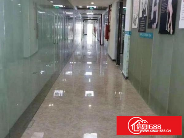 龙华新出来的做商业模式