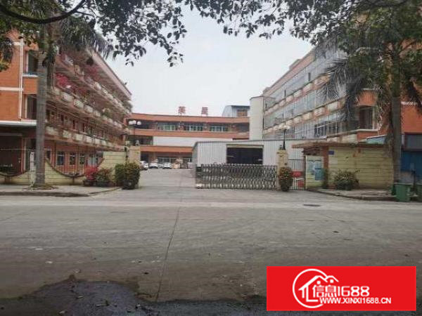 出租石排城区一楼标准厂房公司自用厂房价格优惠