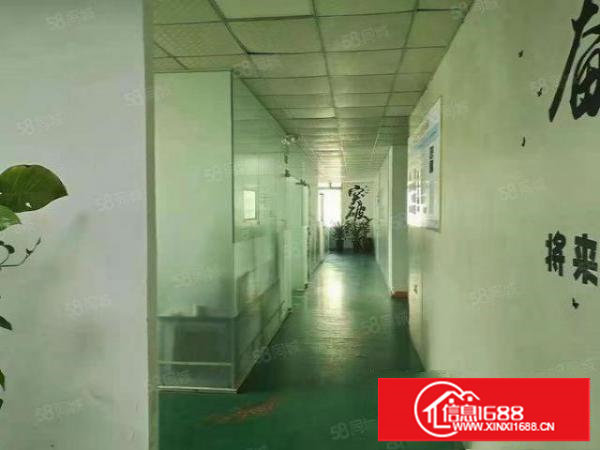 长安新出楼上1200平方，带有水电齐全，豪华装修