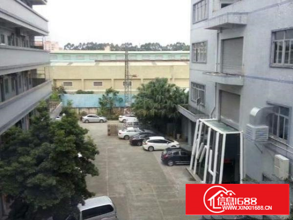 万江独院标准一楼500-2000方厂房招租有现成装修。水??