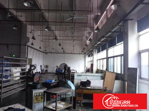 开小厂的福音！高6.8米！空地大！龙岗新出原房东一楼600平