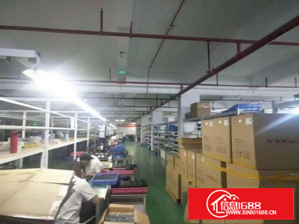 塘厦石鼓楼上厂房便宜出租2000平水电齐全实际面积