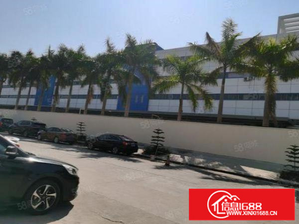 寮步镇靠近松山湖厂房3.8万平方，宿舍加办公室7000平方