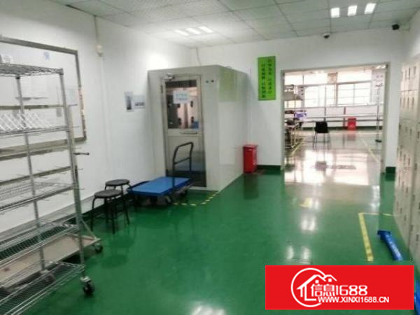 官窑红星1楼精致装修560平厂房出租