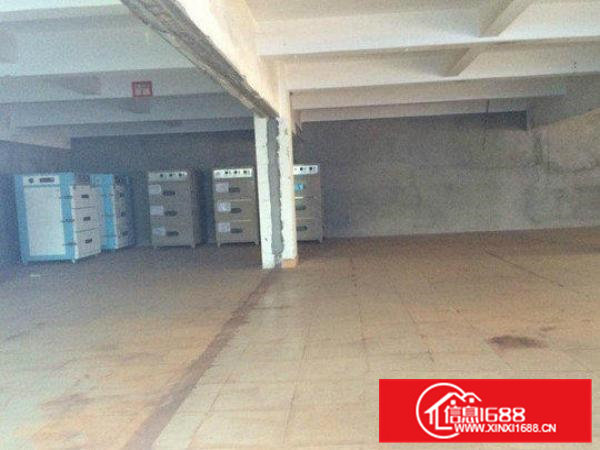 常平岗梓一楼550平厂房水电齐全，带装修