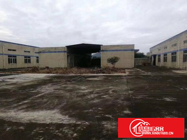 惠东县白花新出钢结构厂房行业无限钢结构厂房3220平方出租