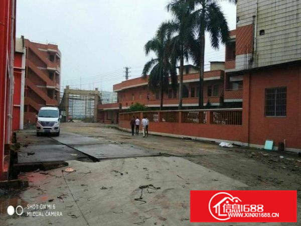 常平17米高单一层4.5万平，可分租