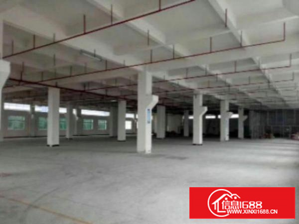 万江标准1出租形象漂1200平方出租