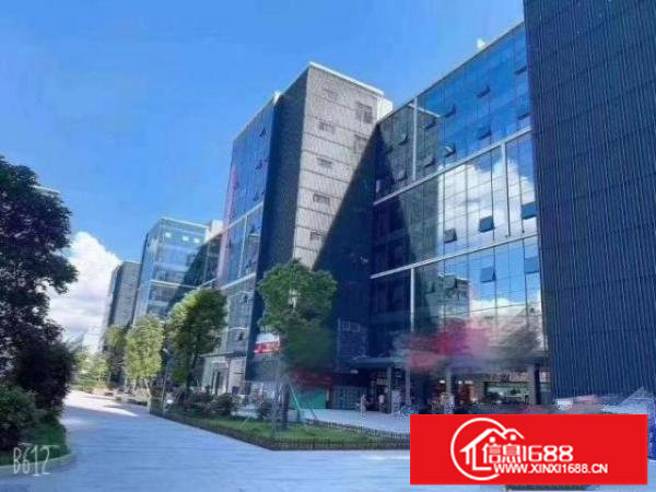 坂田十号线地铁站，全新装修写字楼出租