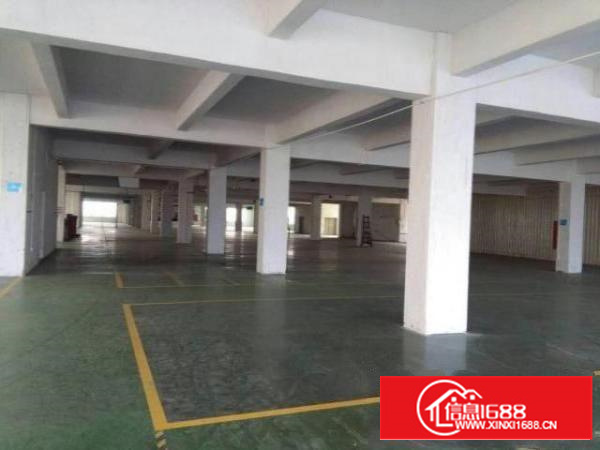 高埗标准1500-5000平米低价招租有行车;位置好