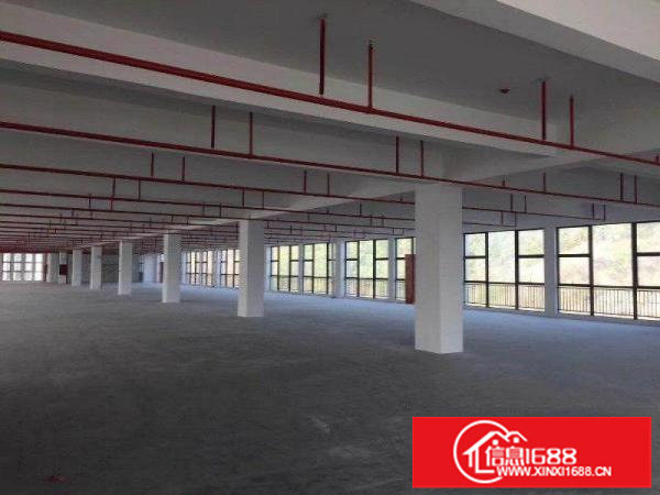 龙岗坪地150000平方带红本标准独院厂