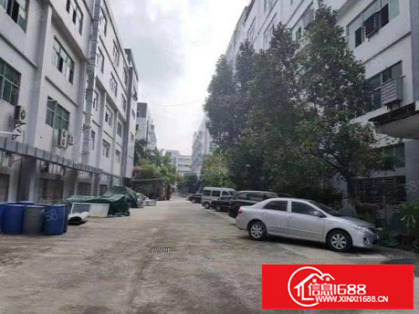 观澜松元轻轨站旁新出楼上原房东800平方带精装修实际面积出租