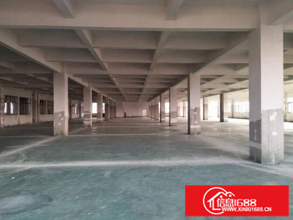 里水全新独门独院楼层厂房出租