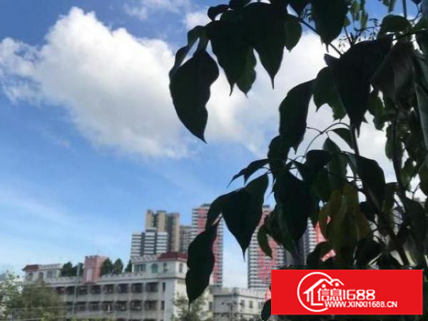 龙岗坪西印刷厂厂房分租500到800平