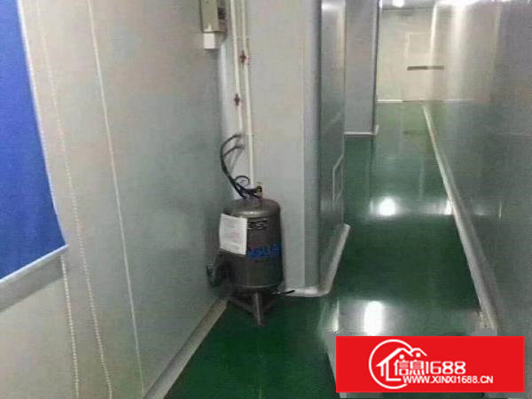 无尘车间，1300平。价格好。搬机生产