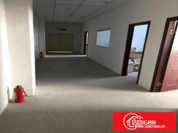凤岗金凤凰楼上精装修厂房出租900平方，价格便宜