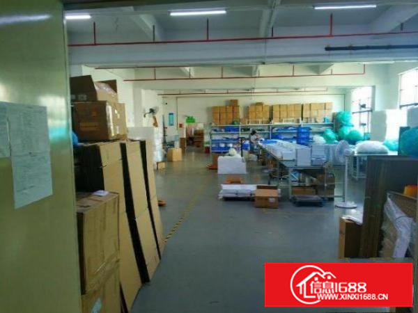 石岩北环路240平带装修厂房出租