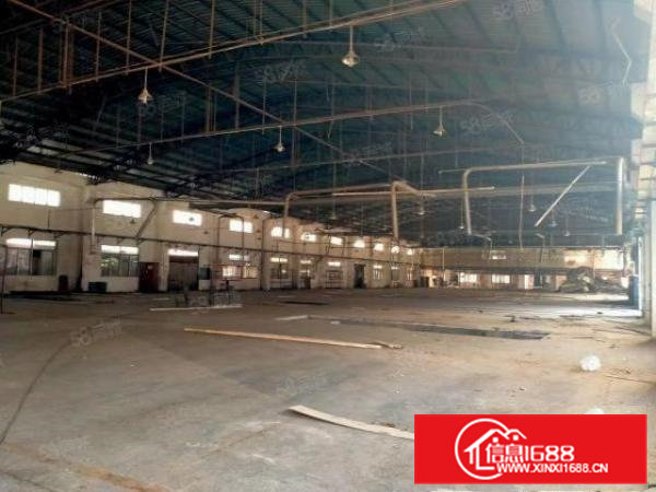 大岭山厂房出租家具厂房独院钢构3.4万平可做喷粉