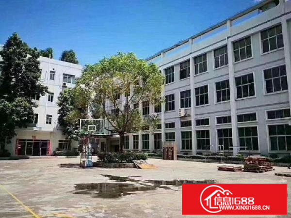 横岗荷坳地铁站的独院厂房1130平米一楼高6米带牛角