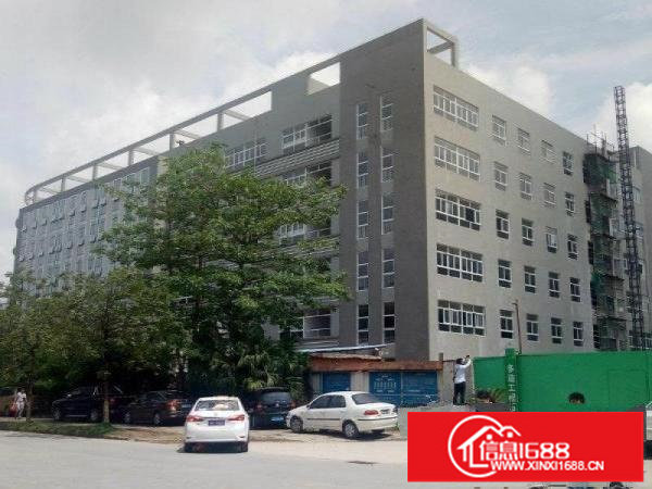 横岗四联独院带装修1楼1800平厂房出租