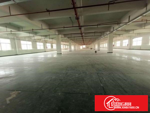 常平|沙湖口单层2000平方厂房急租