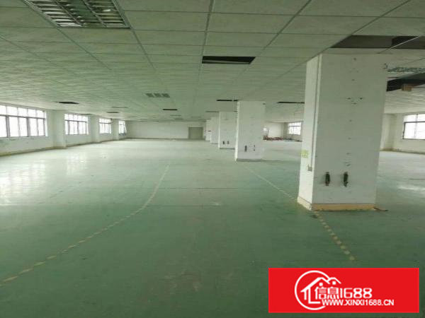 雁田布心3楼1450平米精装修厂房出租