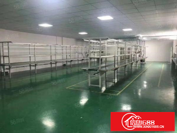 厂房龙华大浪1000平无尘车间精装修单层标准厂房出租