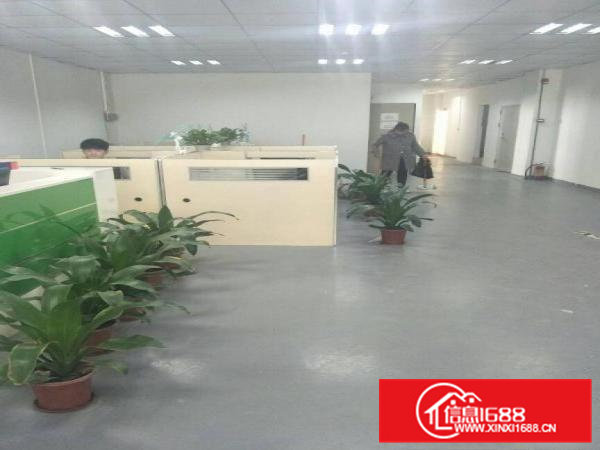 全新1000到1800平方现成装修厂房