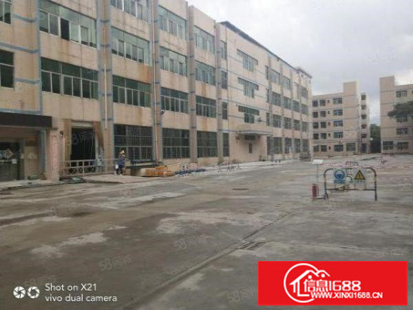 平湖独院厂房出租14200平米，可分租1500平，800平等