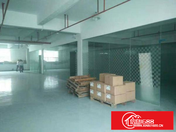 新圩国道边现成装修厂房900平米