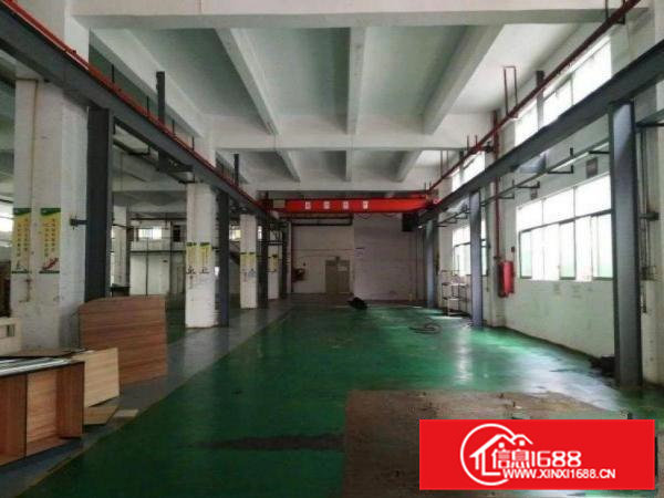 白沙新出一楼六米高带装修厂房1600平