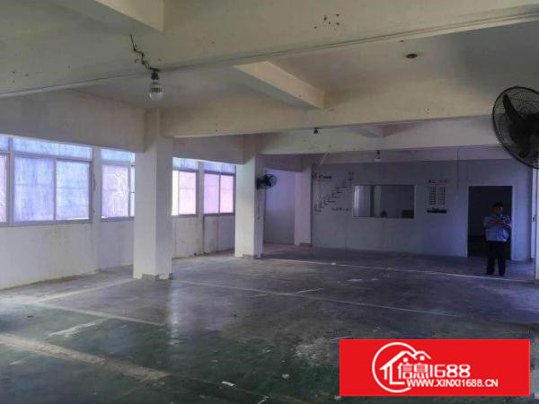 塘厦石鼓600平方米豪华办公室楼上标准厂房 电子厂 临石马