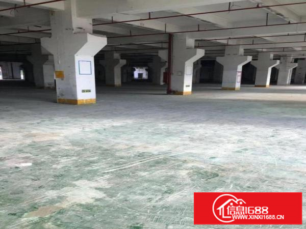 丹竹头物流园3000平米出租可分租带大平台，仓库快递物流五金